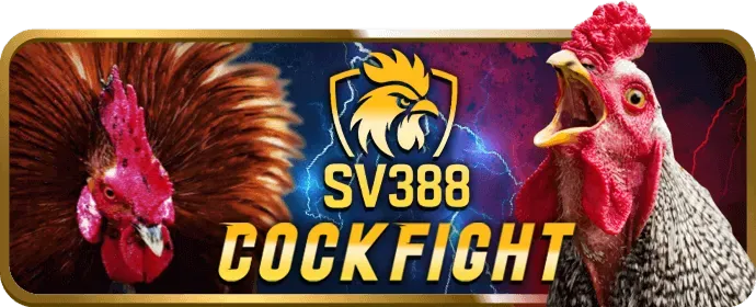 Hướng dẫn tải i9bet58 Win cho Android với mã QR